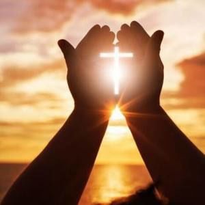 Meet your Posher, Junerain